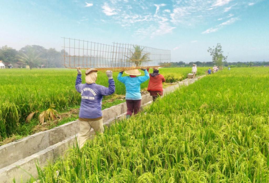Program+P3-TGAI+tahun+2023+segera+bergulir+kembali