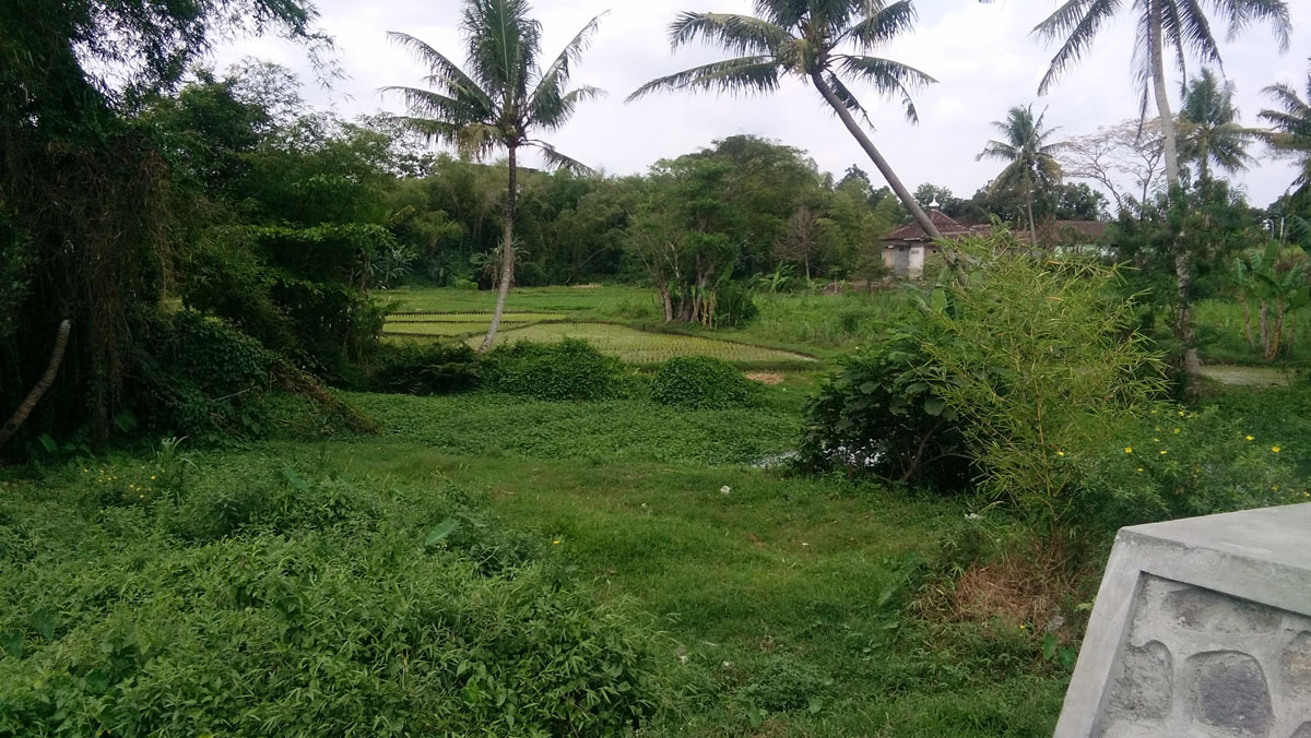 sidomoyo